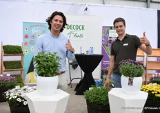 Nicolas de Vriendt and Arthur Wijkaert of DeCock presenting Lavandula stoechas Fantasia Early Purple (on the right) and Mentha Spicata Decock (on the left). The lavendulan is early flowering and re-floweres intensively. Mentha is a selected variety, compact large leaves and short distance between leaves.